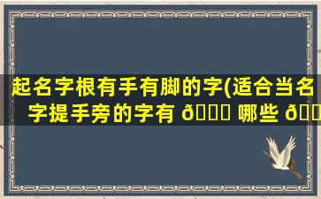 起名字根有手有脚的字(适合当名字提手旁的字有 🐎 哪些 🐈 )